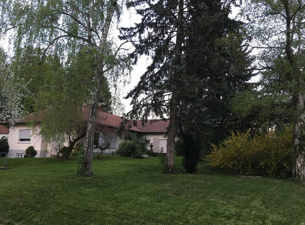 באלינגן Schoene Ferienwohnung 2,5 Zimmer In Stadtnaehe Mit Eigenem Hofgarten מראה חיצוני תמונה